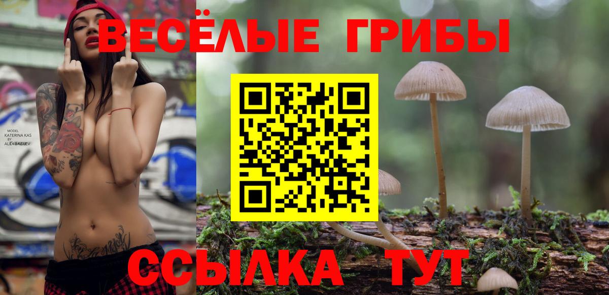 Псилоцибиновые грибы Magic Shrooms Муром