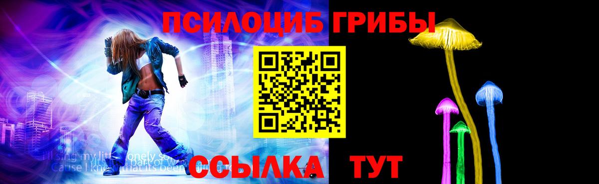 где найти   Псилоцибиновые грибы GOLDEN TEACHER  Вход с VPN  Муром 